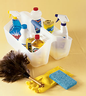 p_cleaning_caddy