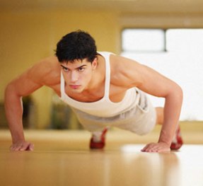 Pushup Exercises