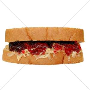 Peanut Butter and Jelly Sandwich