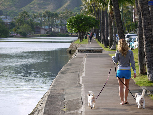 walking with dog