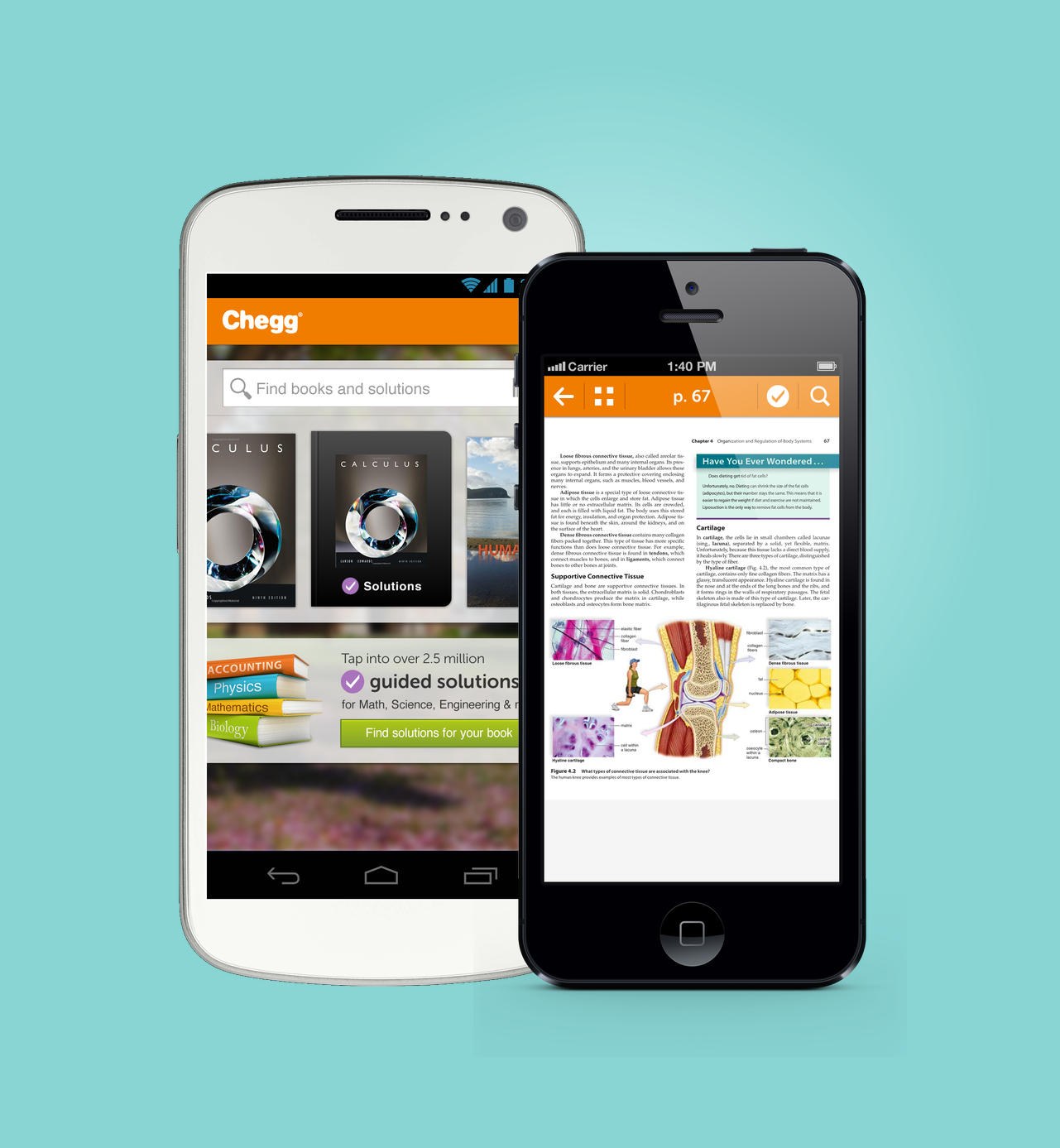 Textbooks & Study Help in Your Pocket with Chegg's New iOS and Android App  - College Cures